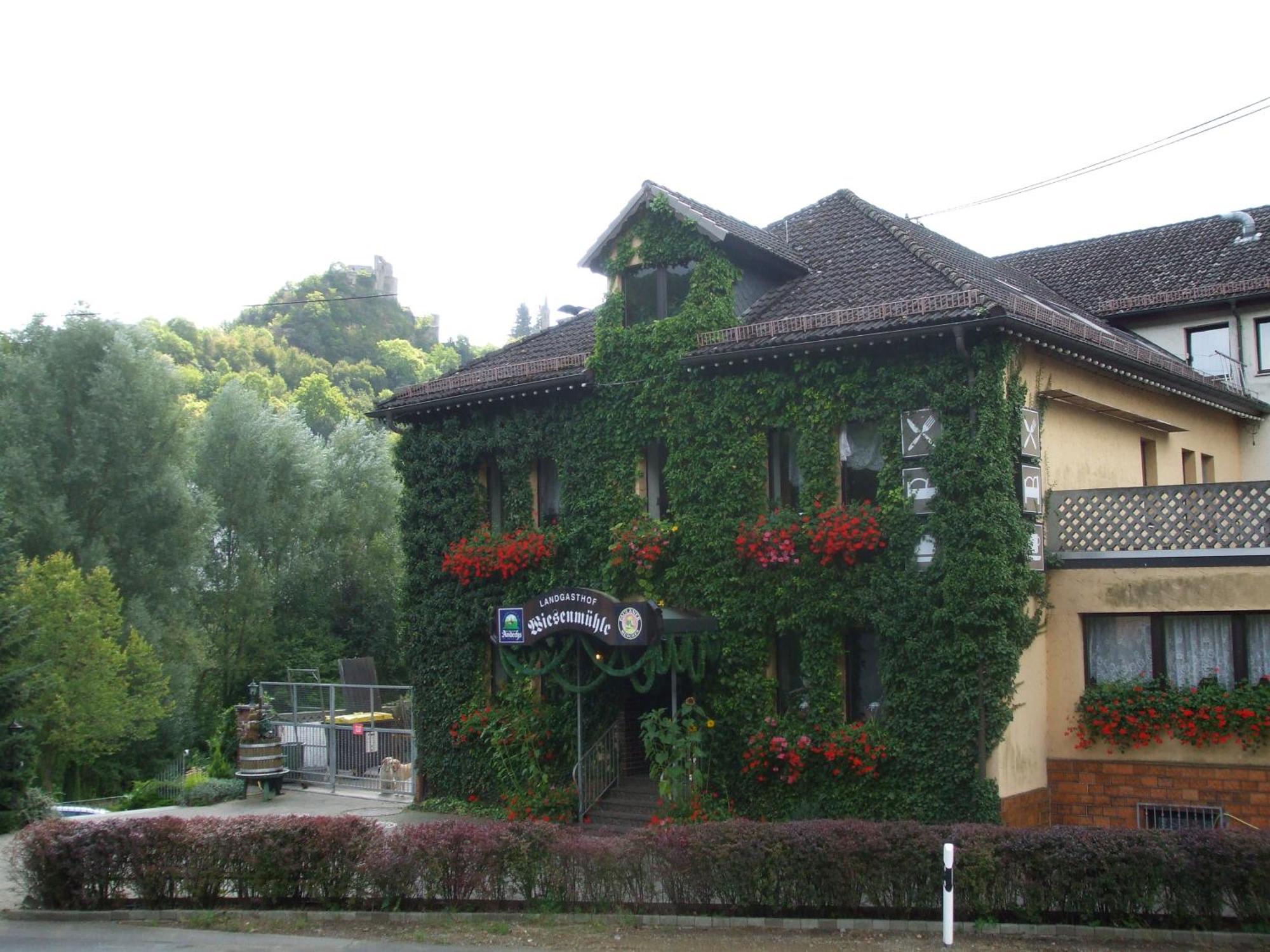 Hotel Landgasthof Wiesenmuehle Burg Hohenstein Esterno foto